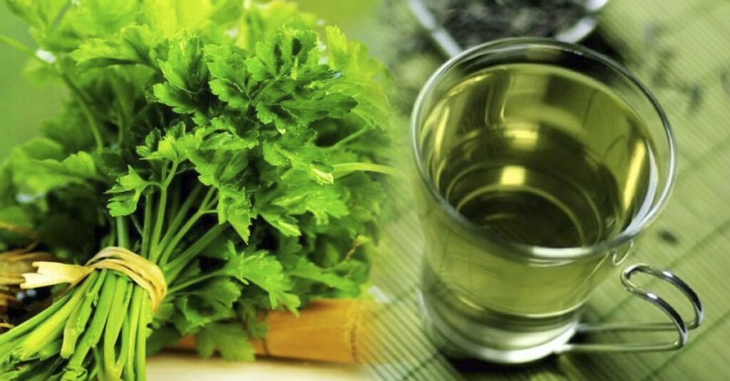 Coriander water