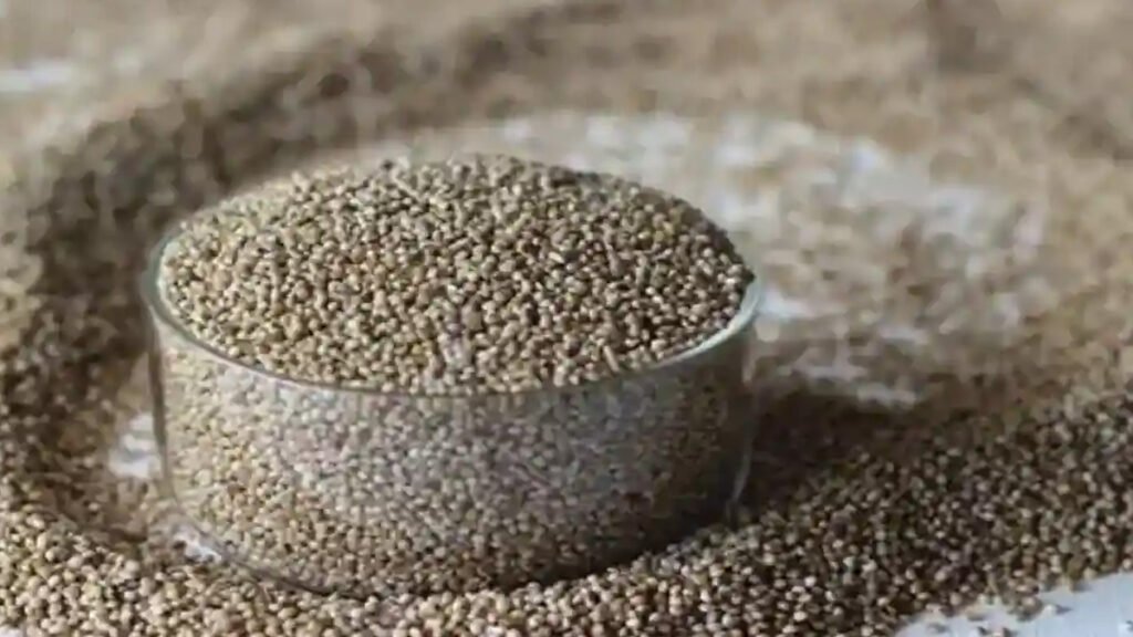kodo millet