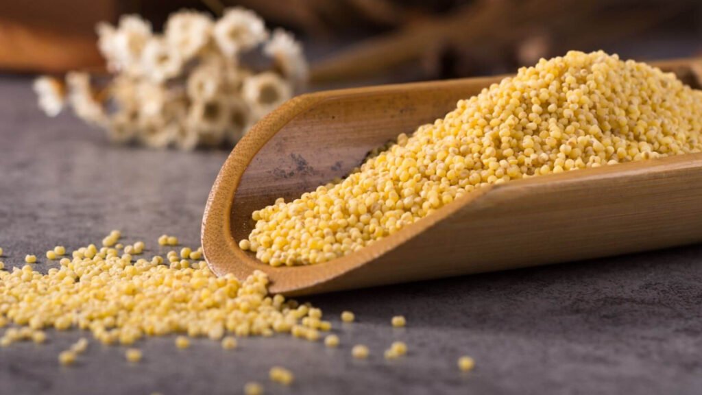 kodo millet